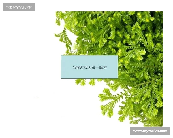 如何设计一款以PPT闯关游戏页面为核心的互动式教学游戏方案 如何设计一款以PPT闯关游戏页面为核心的互动式教学游戏方案